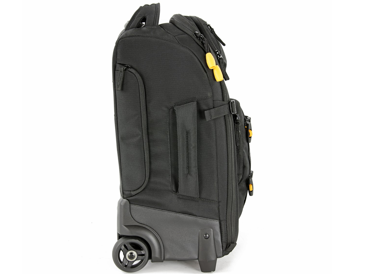 ALTA FLY 49T [�u���b�N]