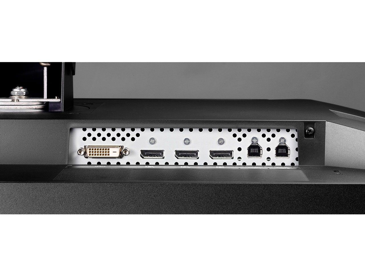 RadiForce MX315W [31.1�C���`]