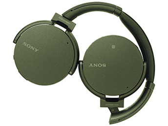 MDR-XB950N1 (G) [�O���[��]