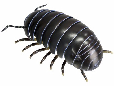 �\�t�r�g�C�{�b�N�X012A �_���S���V �I�J�_���S���V