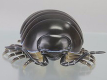 �\�t�r�g�C�{�b�N�X012A �_���S���V �I�J�_���S���V