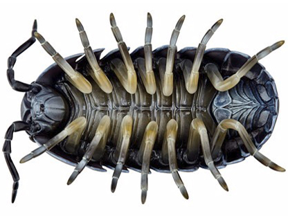 �\�t�r�g�C�{�b�N�X012A �_���S���V �I�J�_���S���V