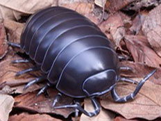 �\�t�r�g�C�{�b�N�X012A �_���S���V �I�J�_���S���V