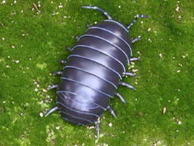 �\�t�r�g�C�{�b�N�X012A �_���S���V �I�J�_���S���V