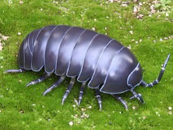 �\�t�r�g�C�{�b�N�X012A �_���S���V �I�J�_���S���V