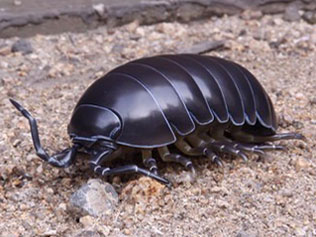 �\�t�r�g�C�{�b�N�X012A �_���S���V �I�J�_���S���V