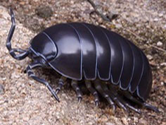 �\�t�r�g�C�{�b�N�X012A �_���S���V �I�J�_���S���V