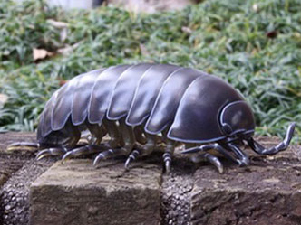 �\�t�r�g�C�{�b�N�X012A �_���S���V �I�J�_���S���V