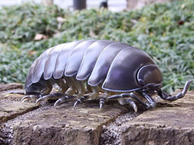 �\�t�r�g�C�{�b�N�X012A �_���S���V �I�J�_���S���V