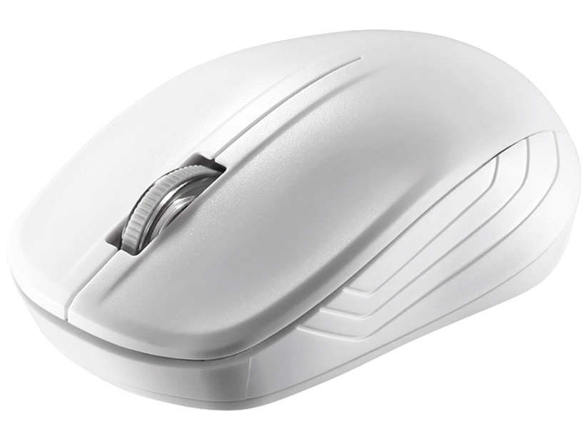 BSMRW21WHZ [�z���C�g]