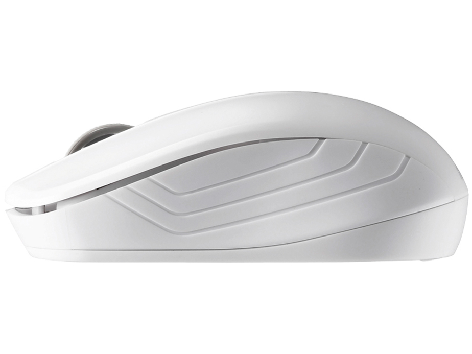 BSMRW21WHZ [�z���C�g]