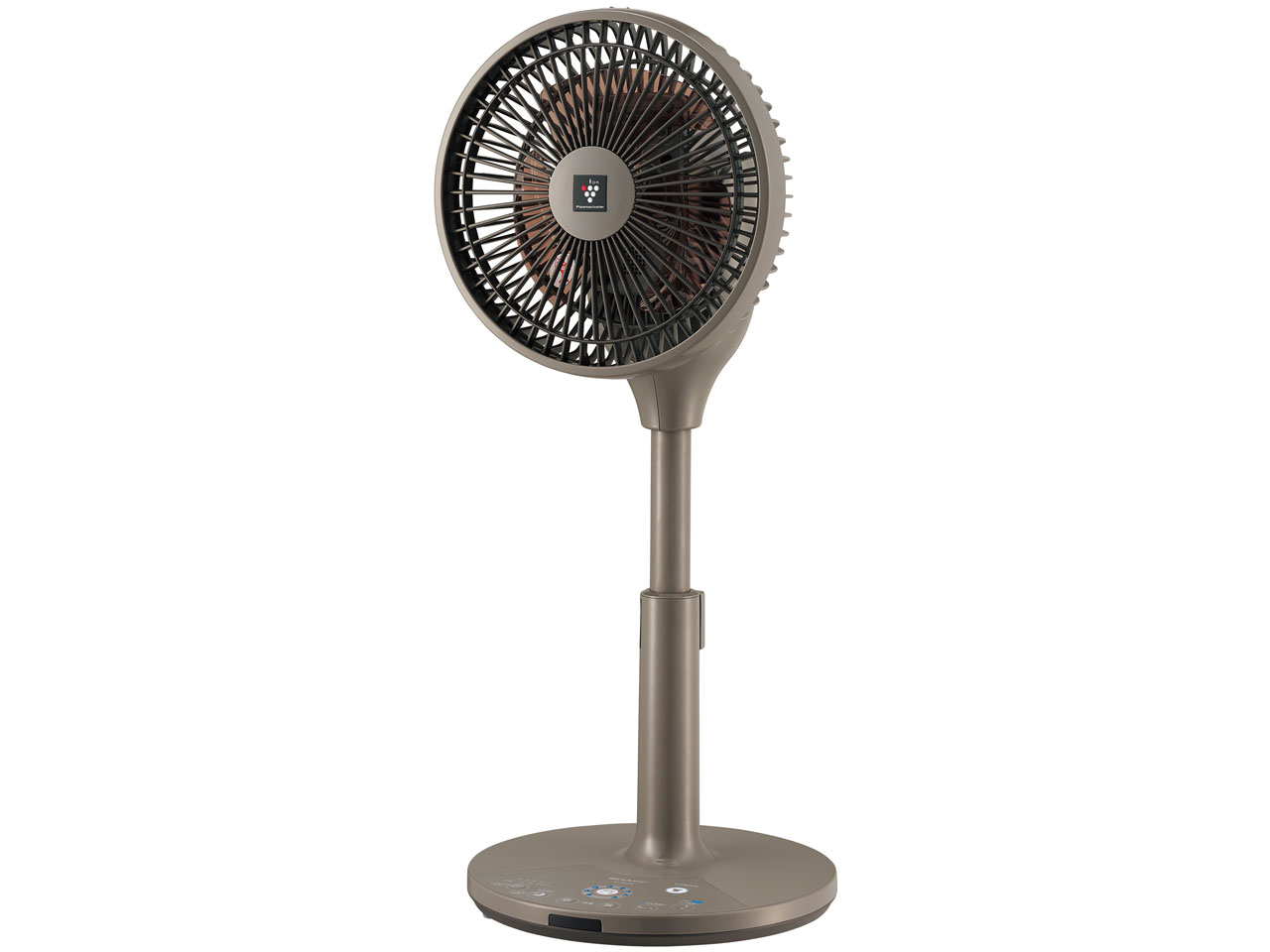 PJ-G2DS-T [�u���E���n]
