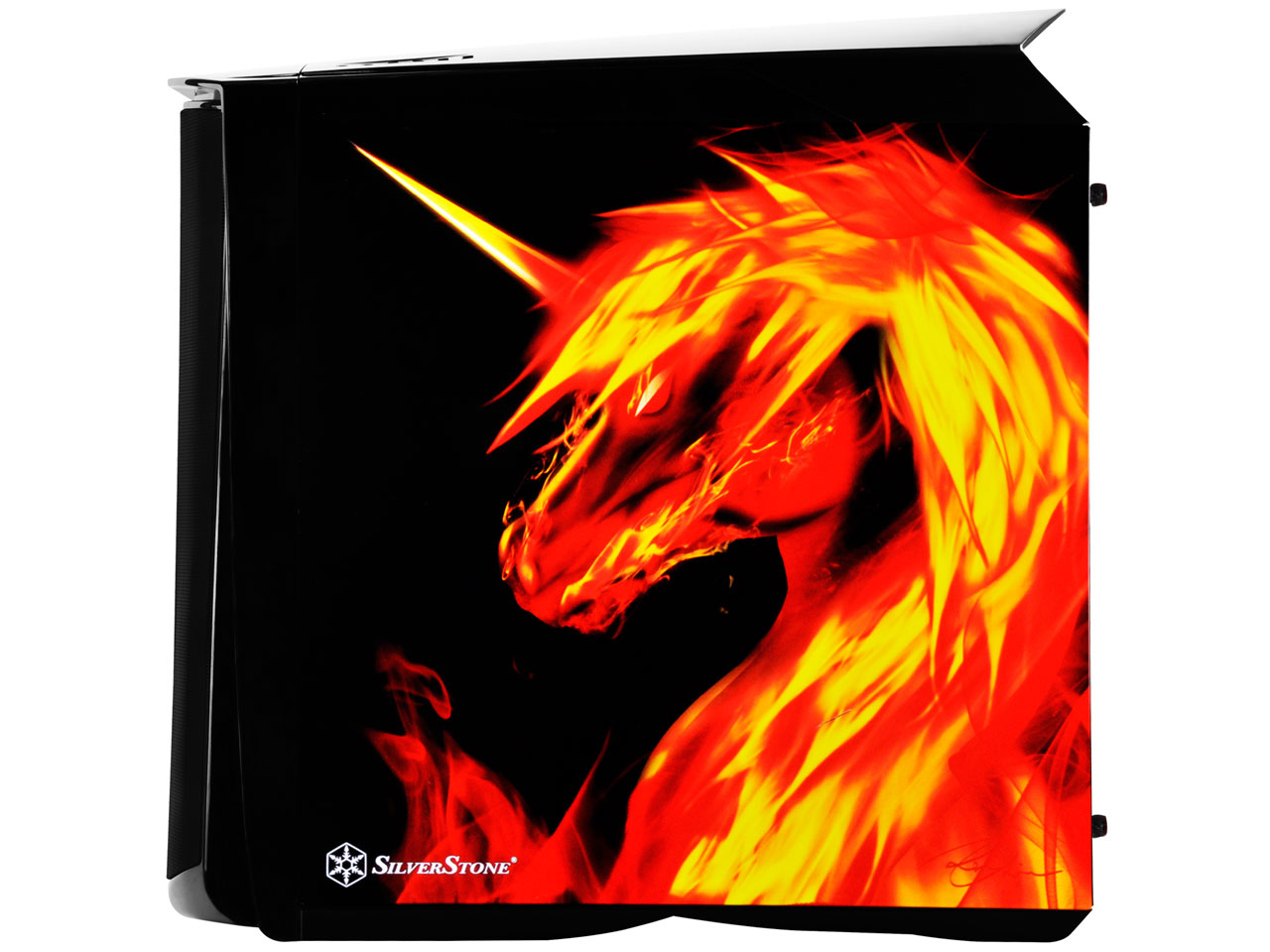 SST-PM01B-FX [�u���b�N]