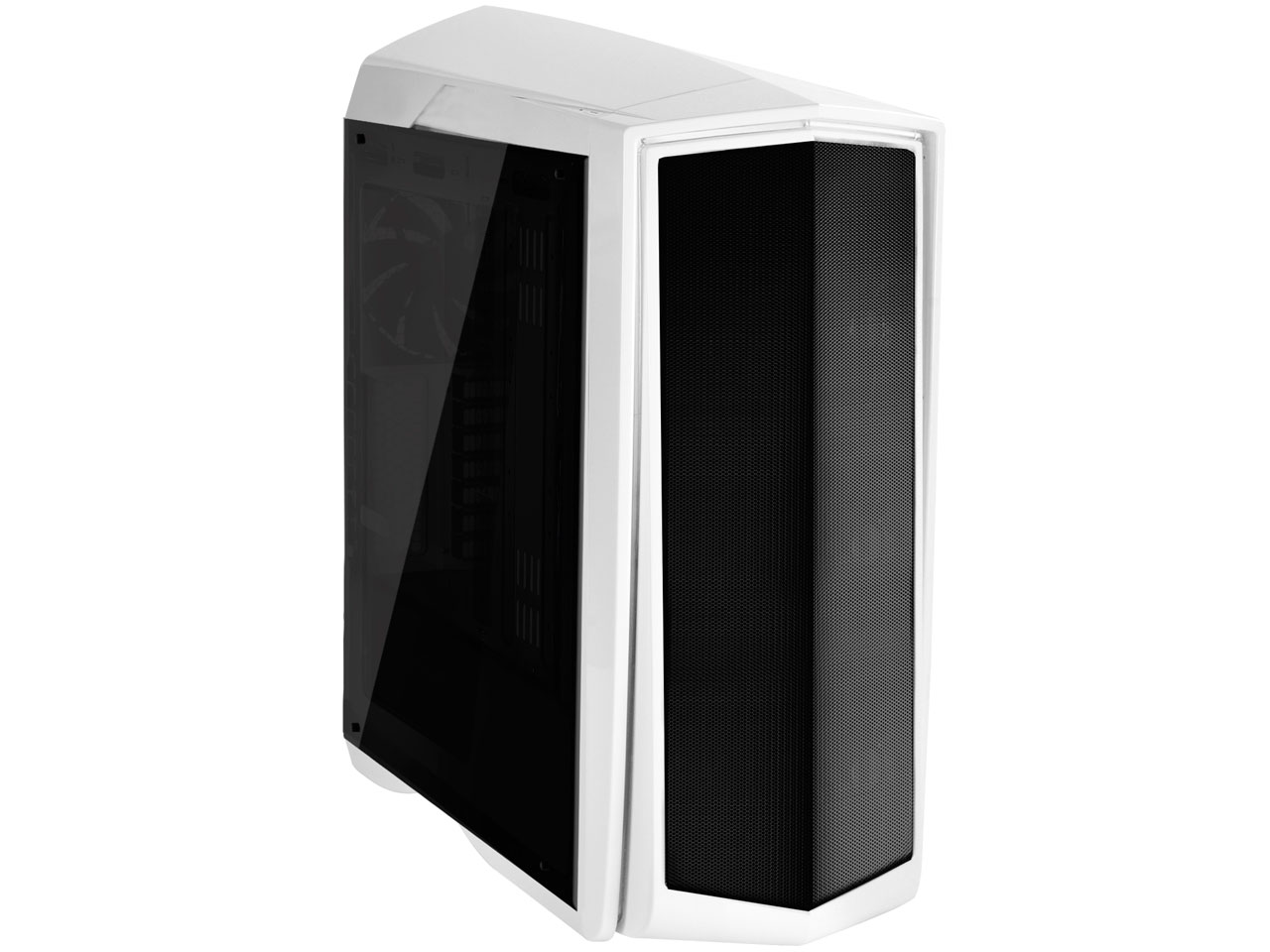 SST-PM01W-FX [�z���C�g]