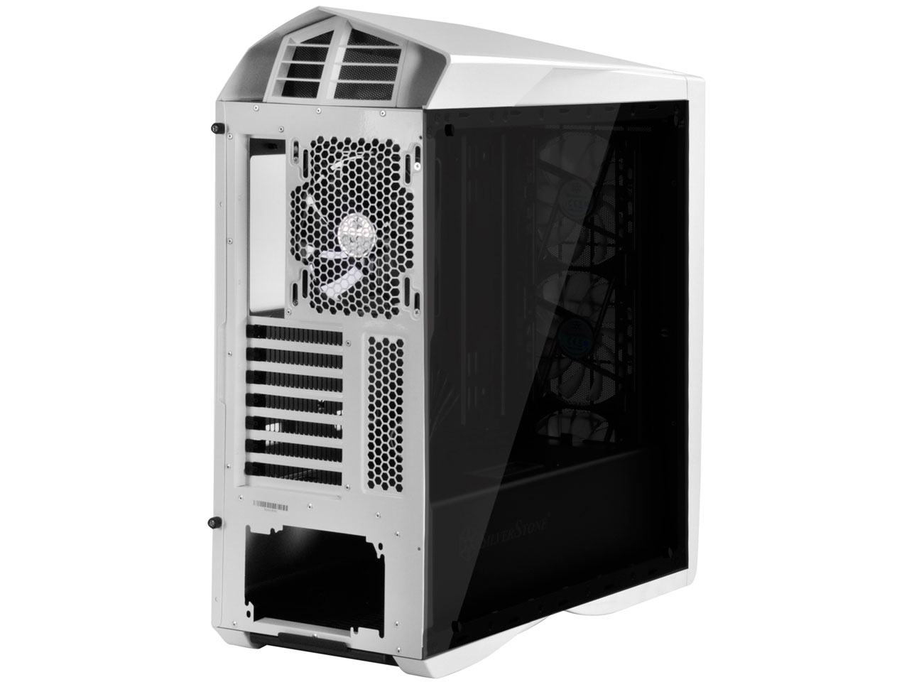 SST-PM01W-FX [�z���C�g]