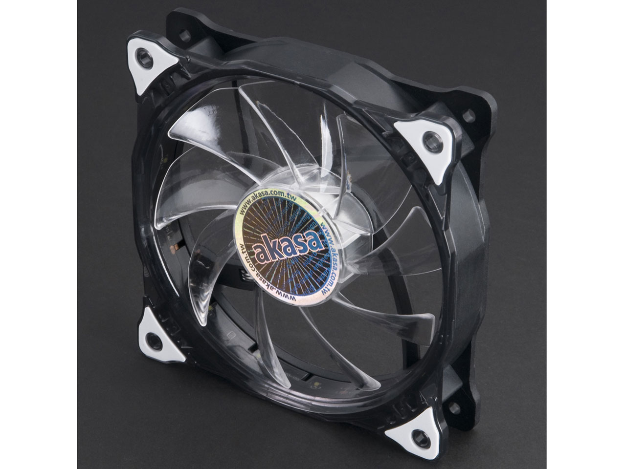 Vegas AK-FN091-WH [White] �̐��i�摜