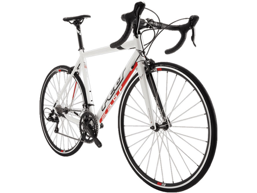 F95 2016�N���f�� [�O���X�z���C�g]