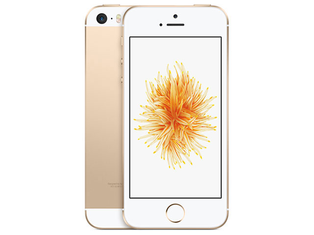 iPhone SE (��1����) 32GB SoftBank [�S�[���h] �̐��i�摜