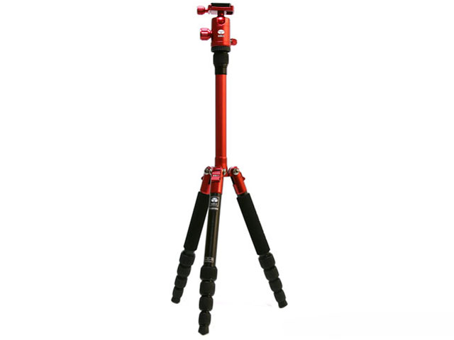 T-005RX+C10S SET [���b�h] �̐��i�摜