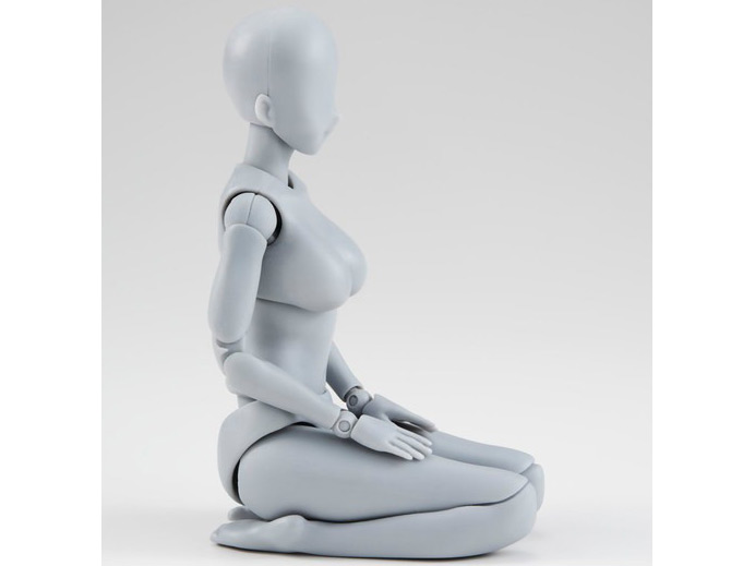 S.H.�t�B�M���A�[�c �{�f�B����� -������N- Edition DX SET Gray Color Ver.