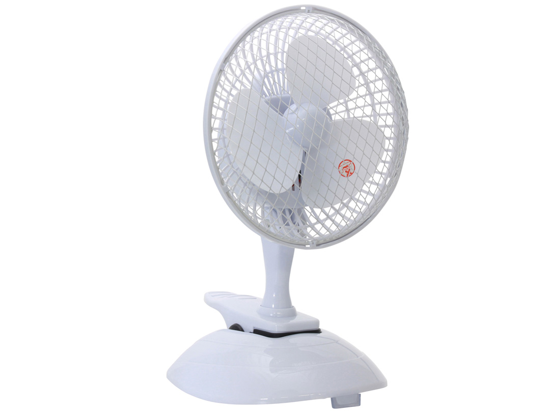 WS-M02 [�z���C�g]