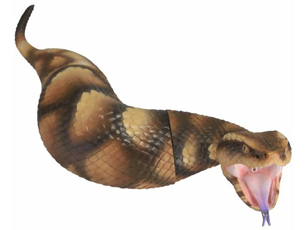 �\�t�r�g�C�{�b�N�X015A �c�`�m�R