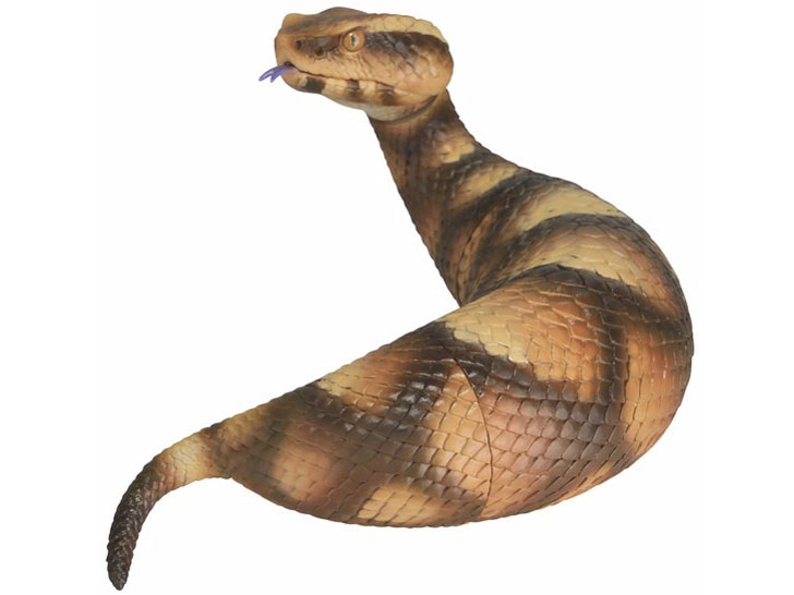 �\�t�r�g�C�{�b�N�X015A �c�`�m�R