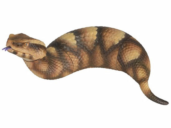 �\�t�r�g�C�{�b�N�X015A �c�`�m�R