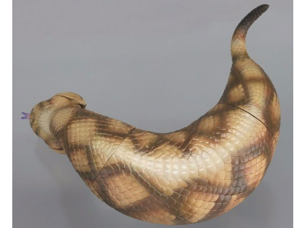 �\�t�r�g�C�{�b�N�X015A �c�`�m�R