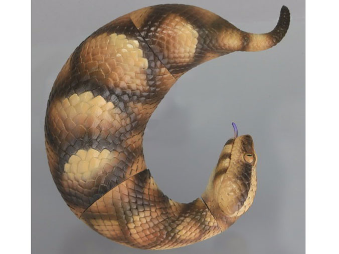 �\�t�r�g�C�{�b�N�X015A �c�`�m�R