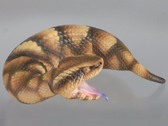 �\�t�r�g�C�{�b�N�X015A �c�`�m�R