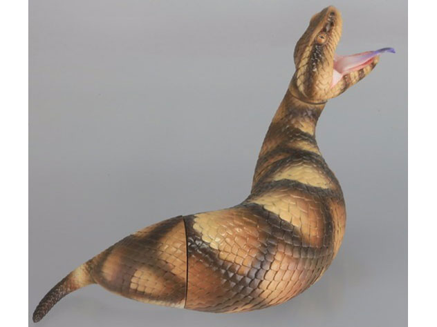 �\�t�r�g�C�{�b�N�X015A �c�`�m�R