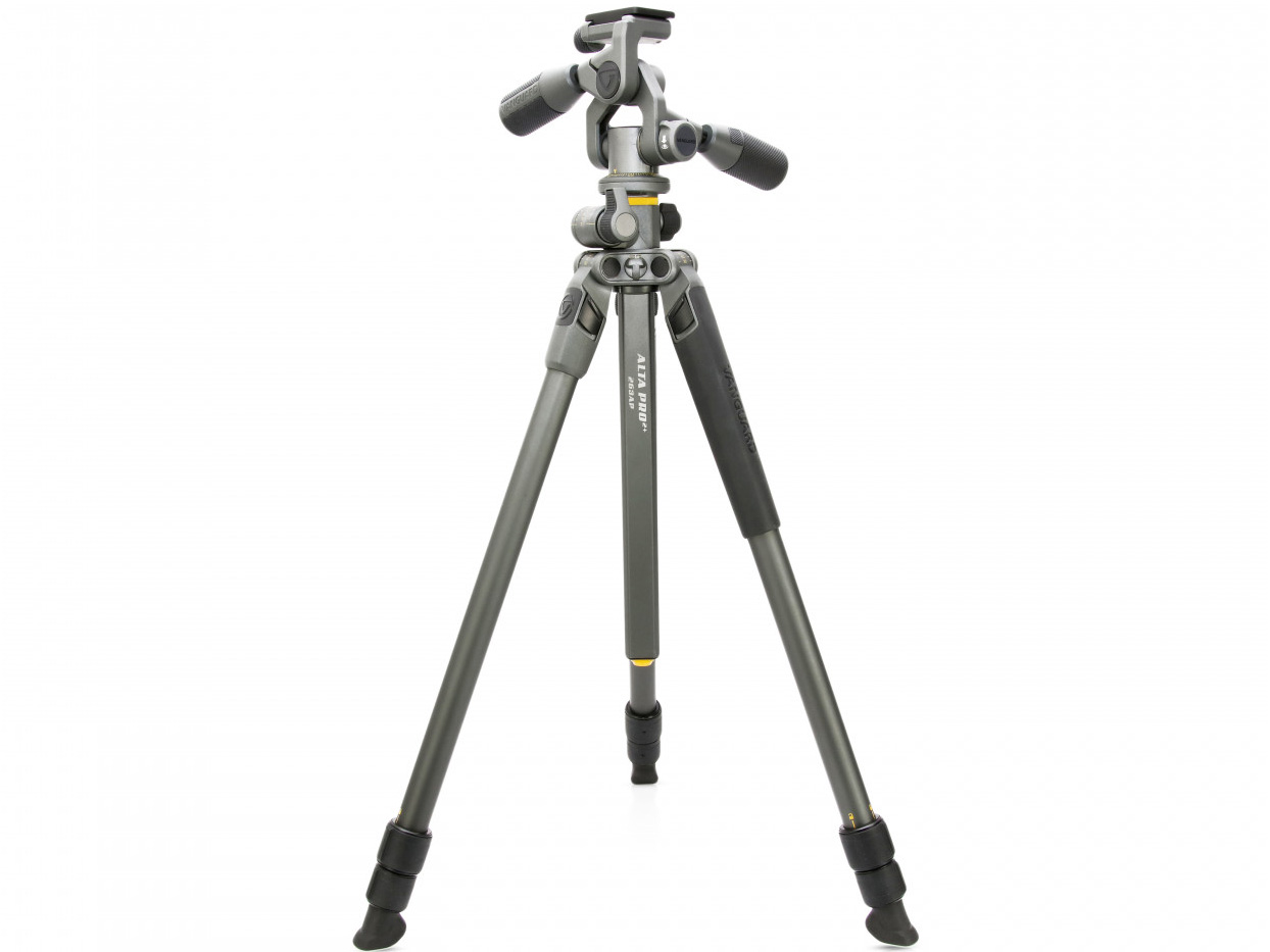Alta Pro 2+ 263AP [�O���[]