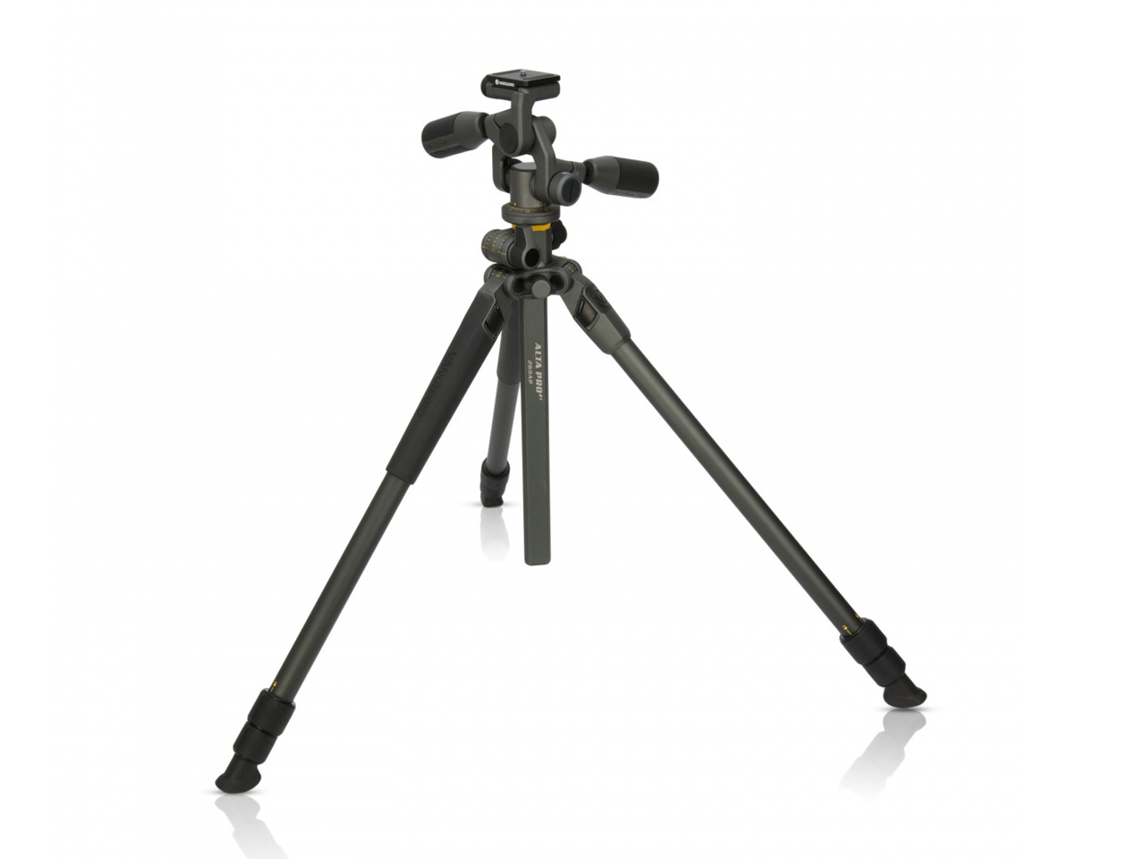 Alta Pro 2+ 263AP [�O���[]