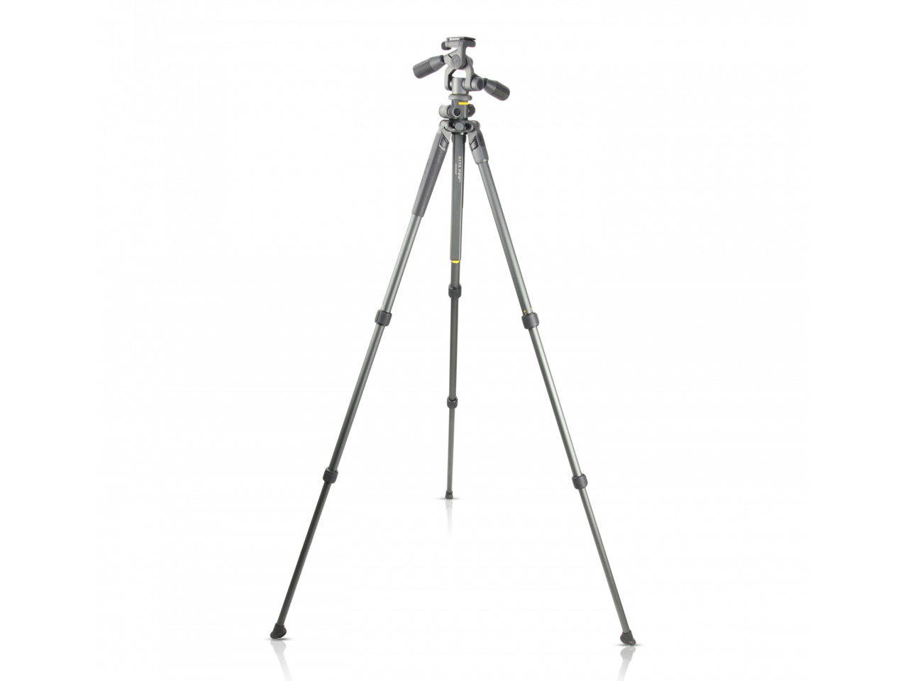 Alta Pro 2+ 263AP [�O���[]