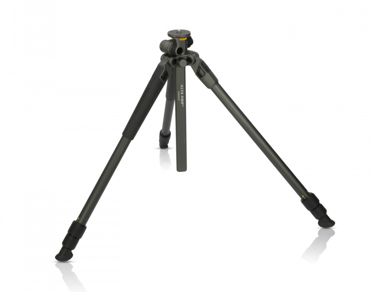 Alta Pro 2+ 263AP [�O���[]