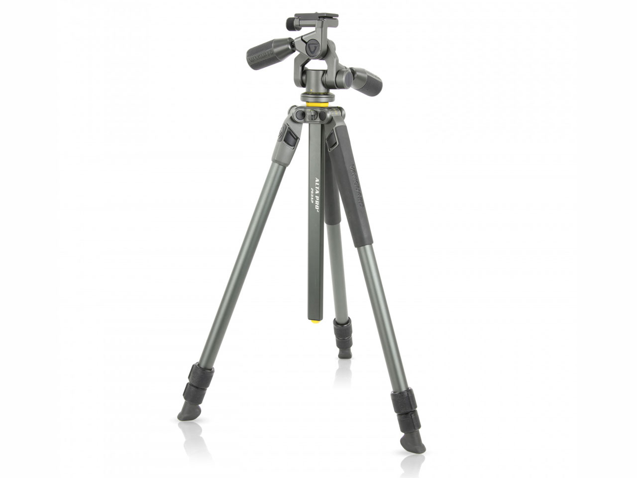 Alta Pro 2+ 263AP [�O���[] �̐��i�摜