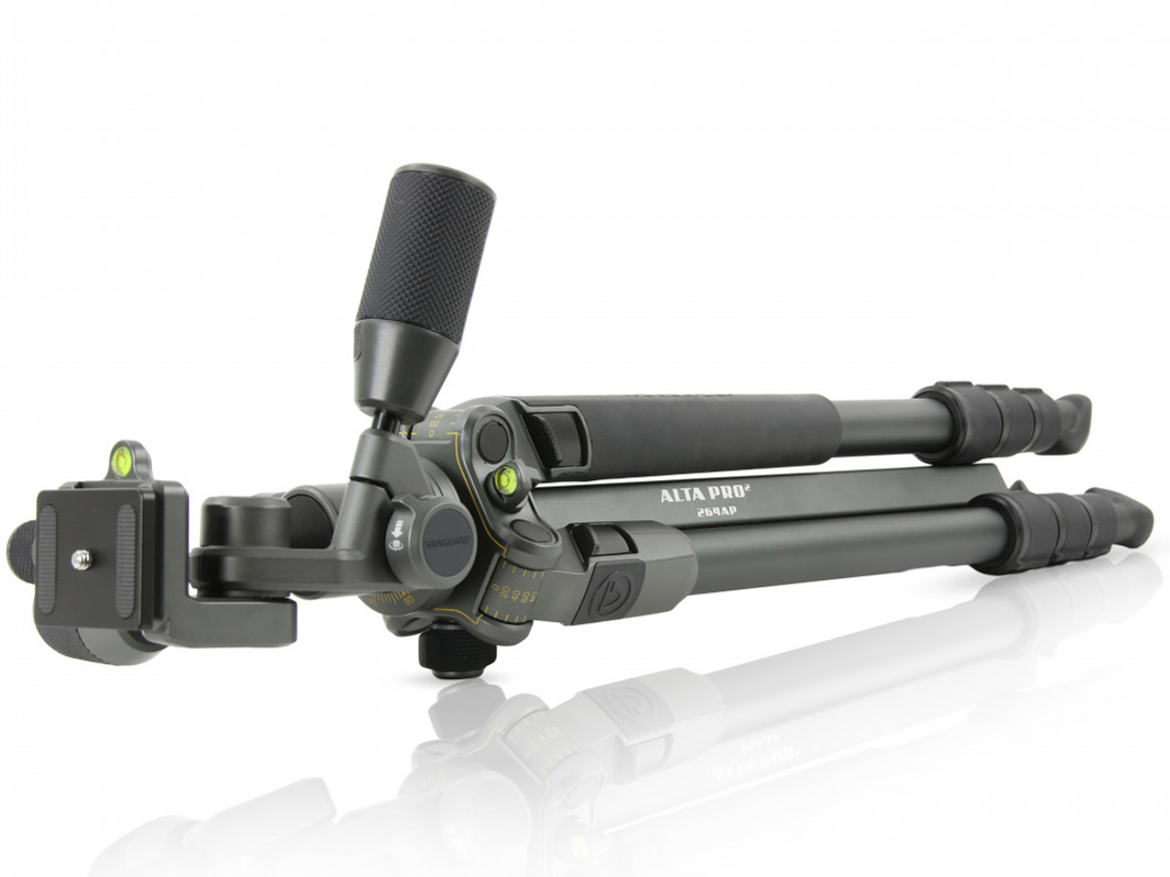 Alta Pro 2 264AP [�O���[]