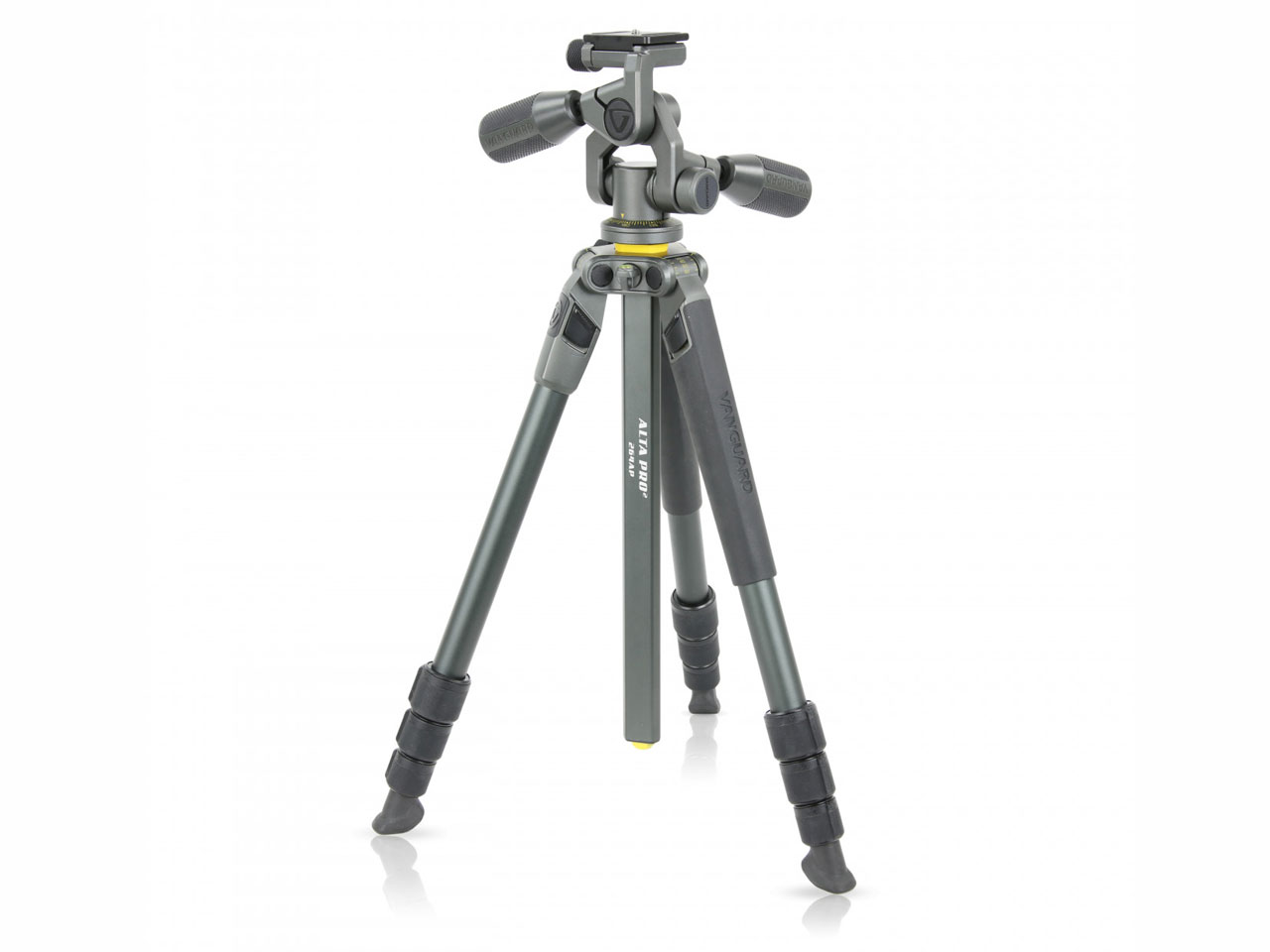 Alta Pro 2 264AP [�O���[] �̐��i�摜