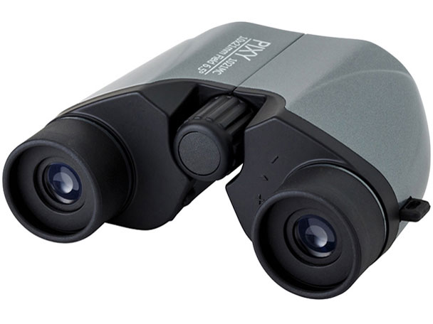 PIXY M10x21MC [�V���o�[�O���[��]