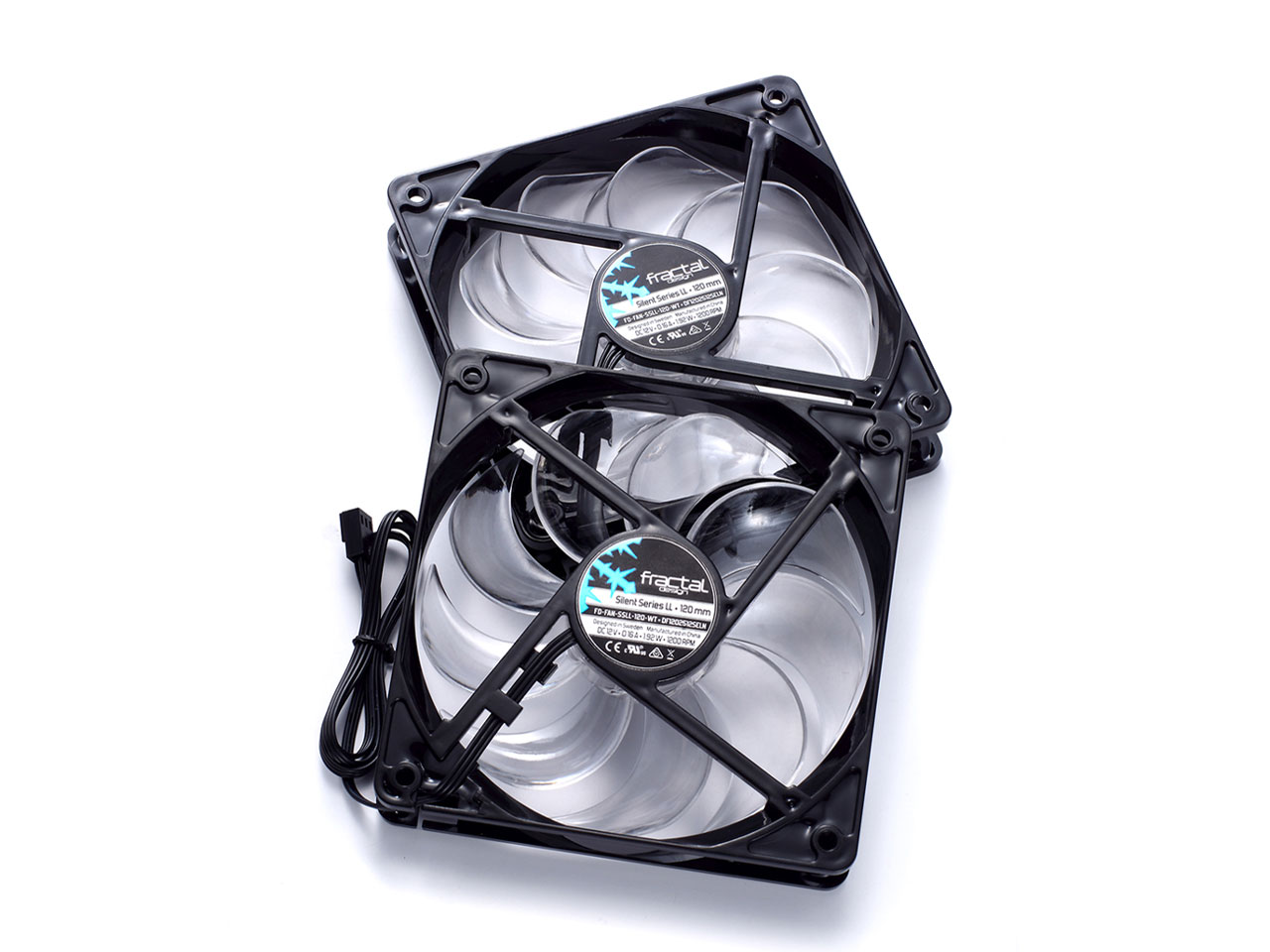 Focus G FD-CA-FOCUS-BK-W [�u���b�N]