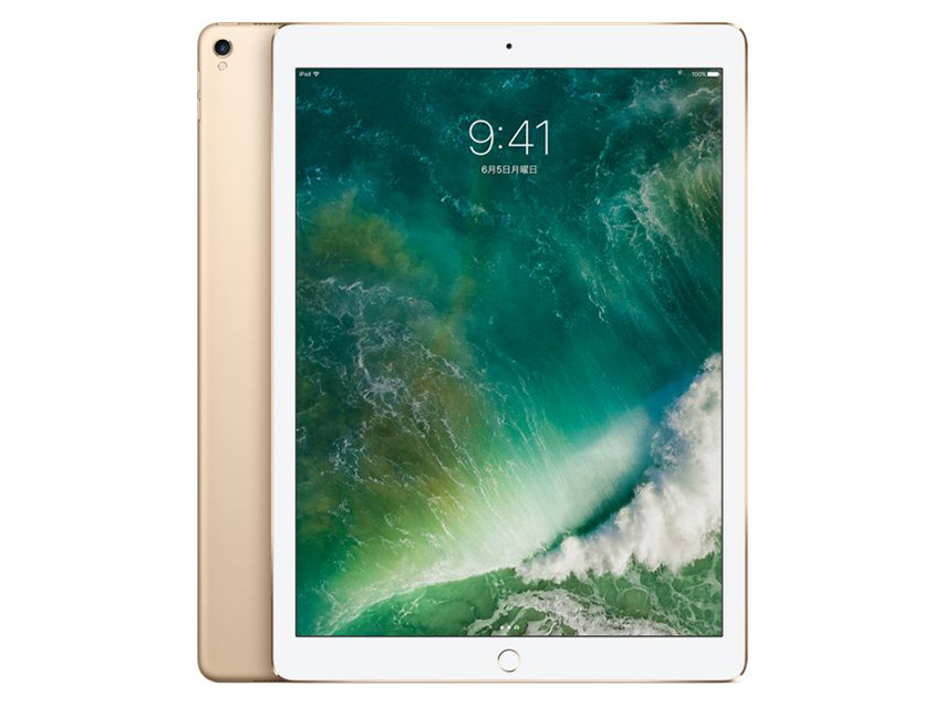 iPad Pro 12.9C` Wi-Fi 512GB MPL12J/A [S[h] ̐i摜