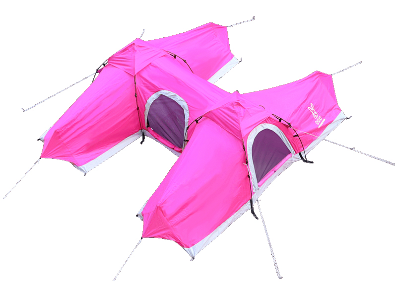 H�e���g T2-529 [�s���N]