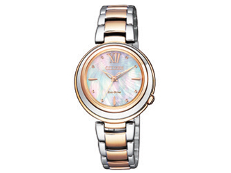 �V�`�Y�� �G�� EM0584-81D �̐��i�摜