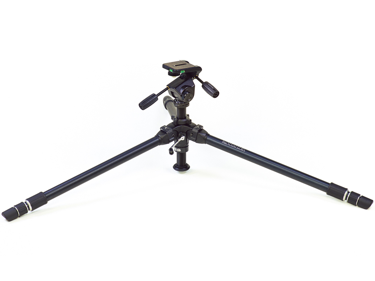 �U �v���t�F�b�V���i�� NS