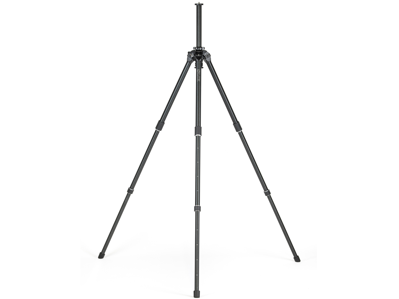 �U �v���t�F�b�V���i�� NS �r