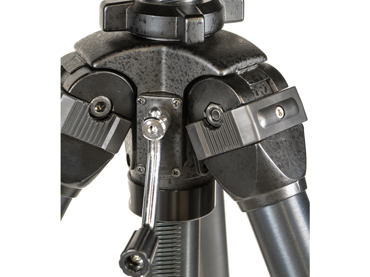 �U �v���t�F�b�V���i�� NS �r