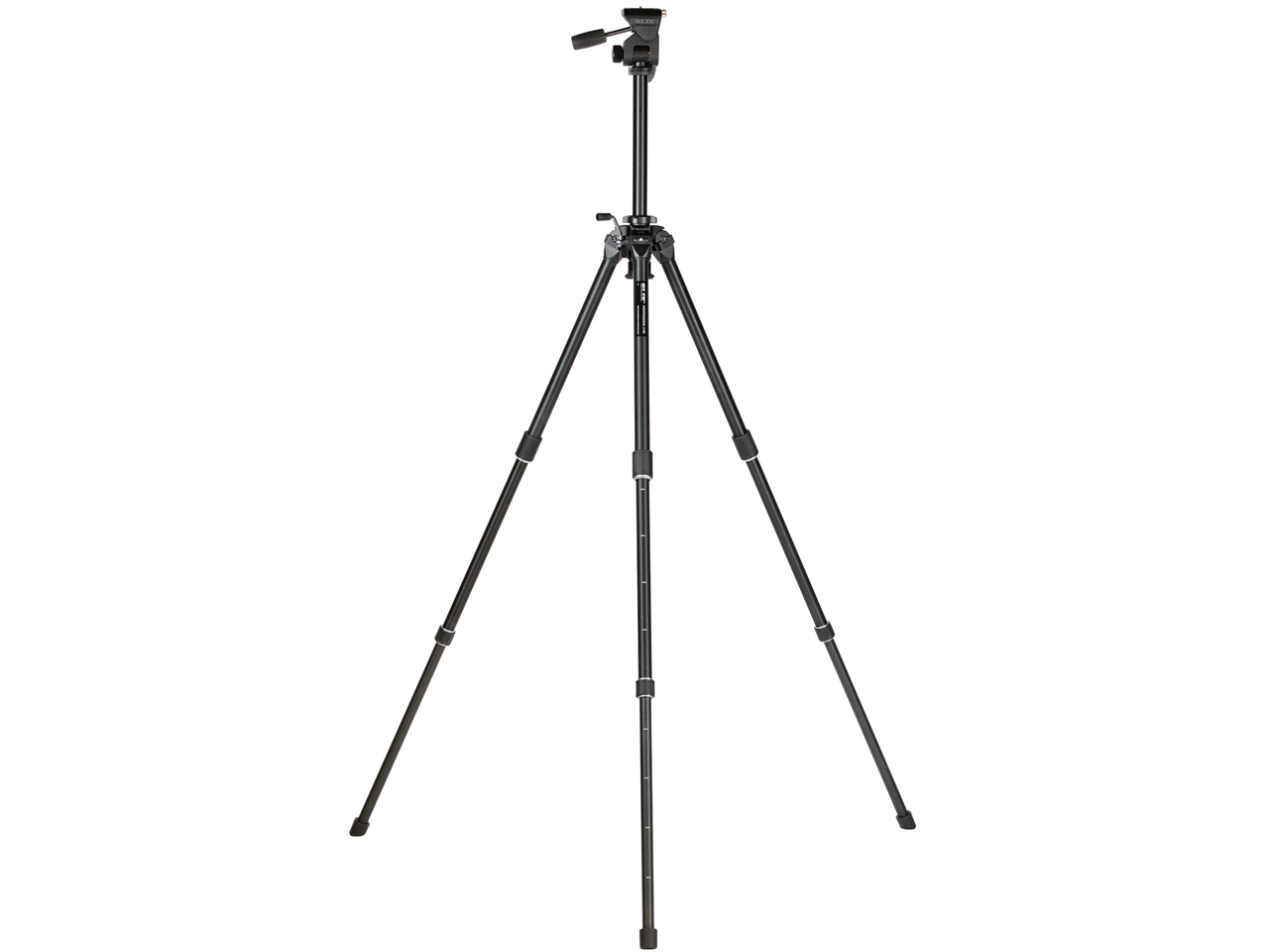 �v���t�F�b�V���i��2 NS