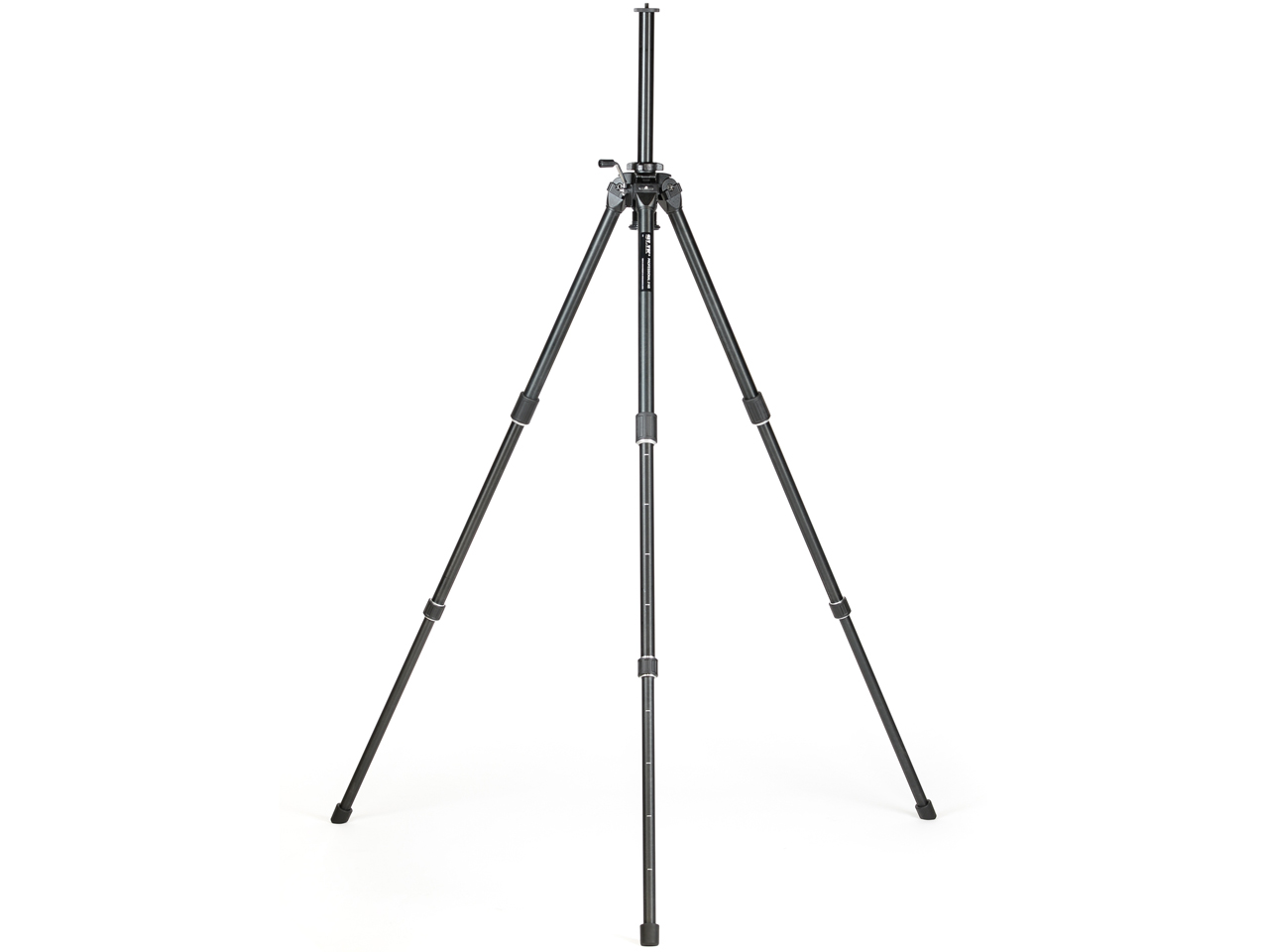 �v���t�F�b�V���i��2 NS �r