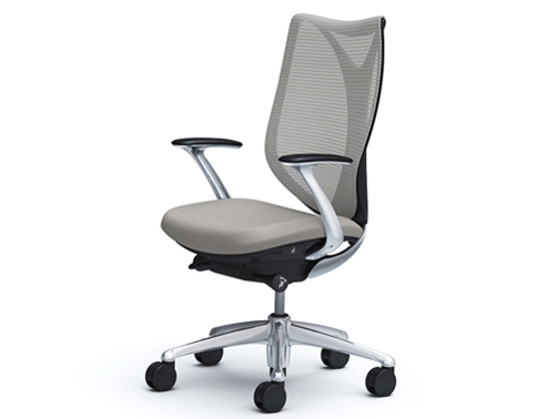 Sabrina C843BR FSZ3 [���C�g�O���[] �̐��i�摜